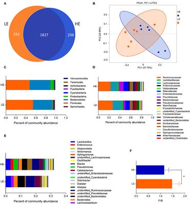 Dietary Energy Level Impacts the Performance of Donkeys by Manipulating the Gut Microbiome and Metabolome